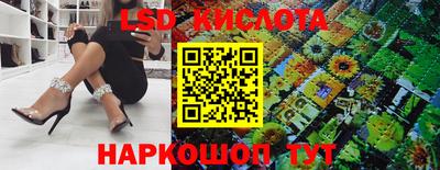 стаф Шебекино