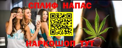 стаф Шебекино