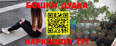 стаф Шебекино