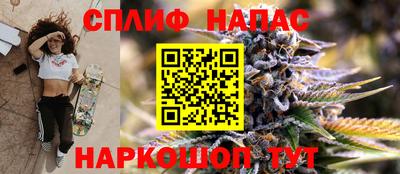 стаф Шебекино