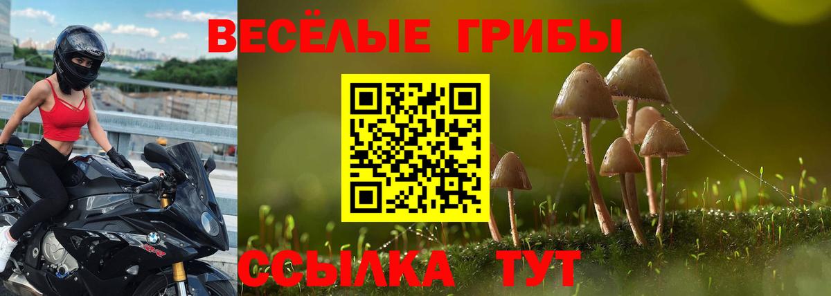 Волжский  Галлюциногенные грибы мухоморы  Галлюциногенные грибы MAGIC MUSHROOMS  Вход с VPN 